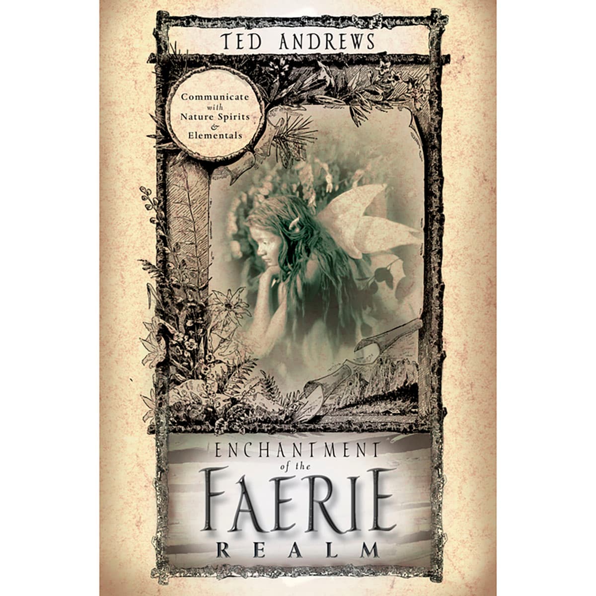Enchantment of the Faerie Realm by Ted Andrews