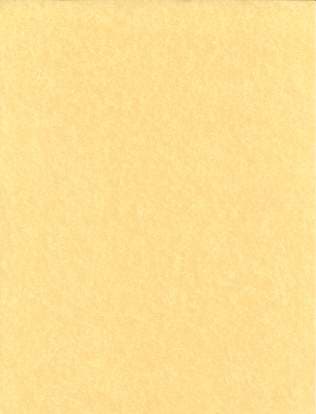 Light Parchment Paper 25 Pack  (8 1/2" x 11")