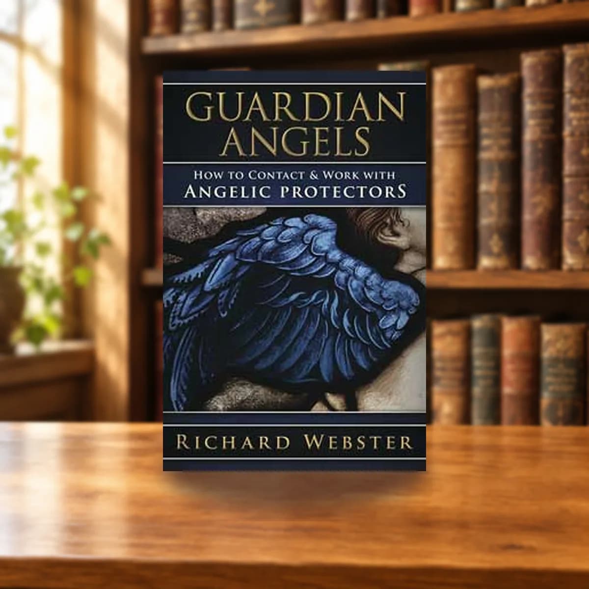 Guardian Angels by Richard Webster