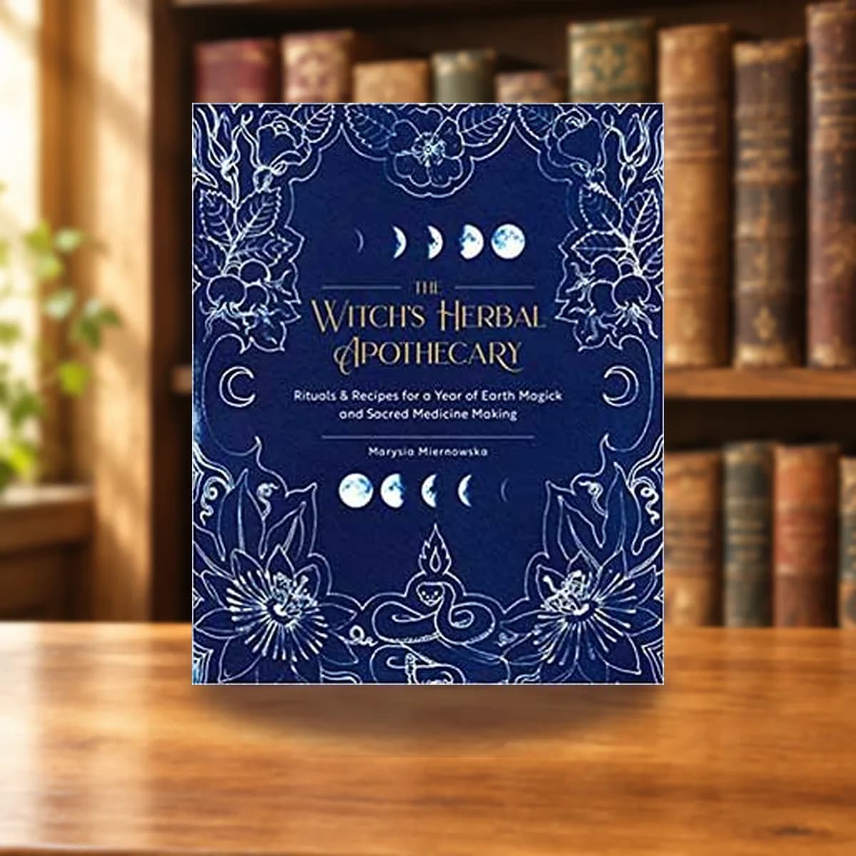 Witch's Herbal Apothecary by Marysia Miernoska