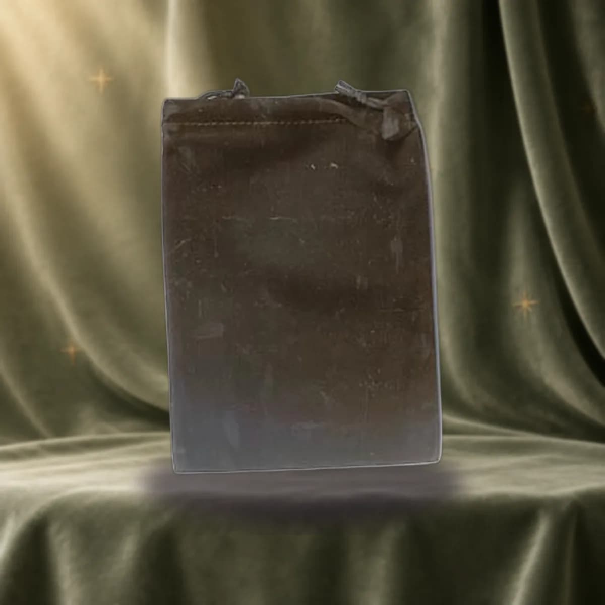 Black Velveteen Bag