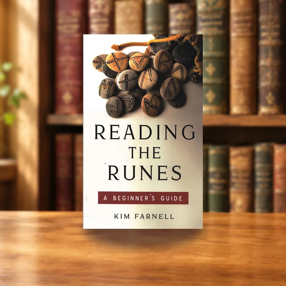 Reading the Runes, Beginner's Guide by Kim Farnell