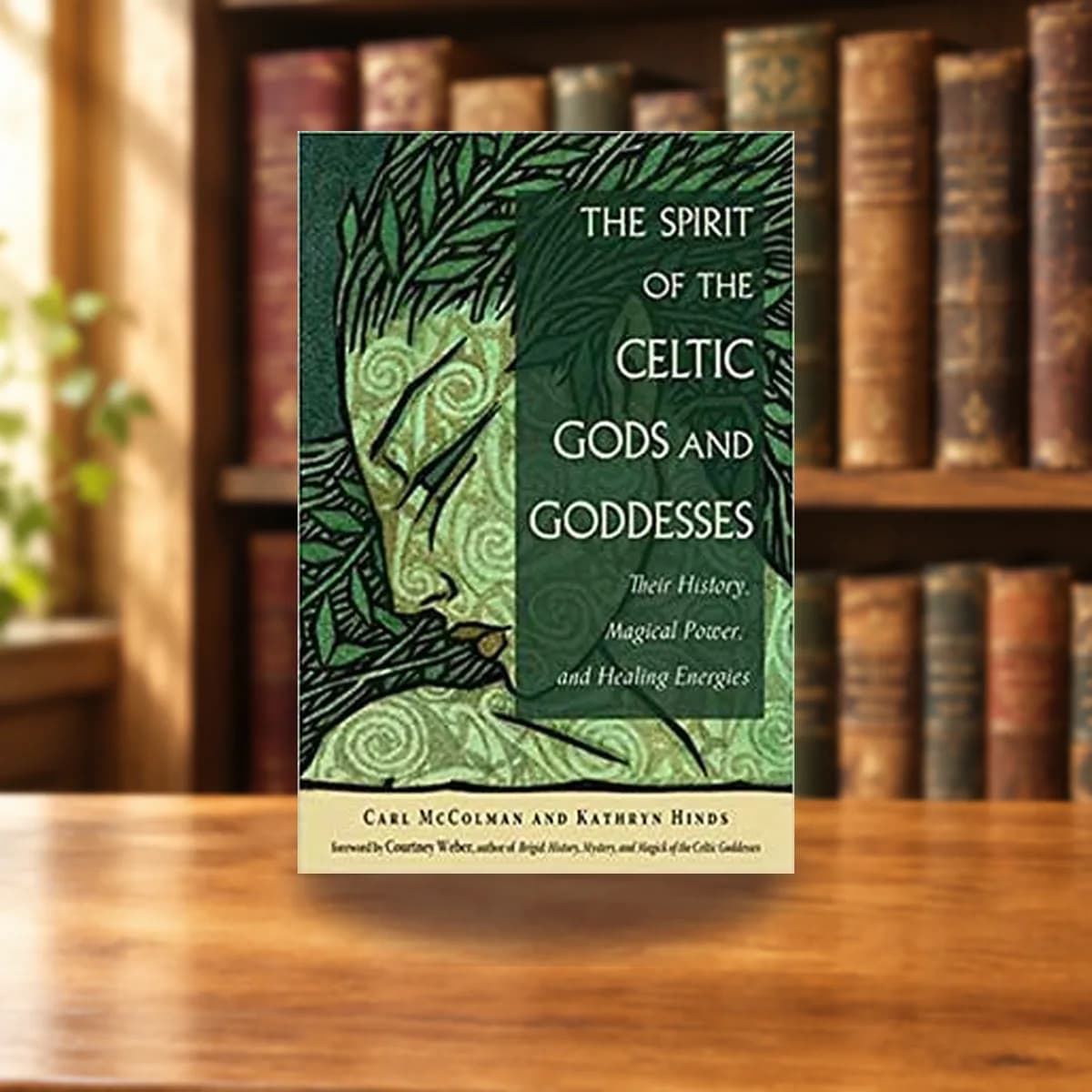Spirit of the Celtic Gods & Goddesses by McColman & Hinds