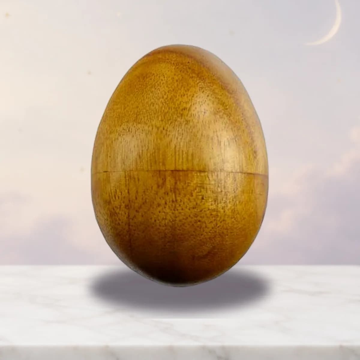 Wooden Egg Shaker instrument