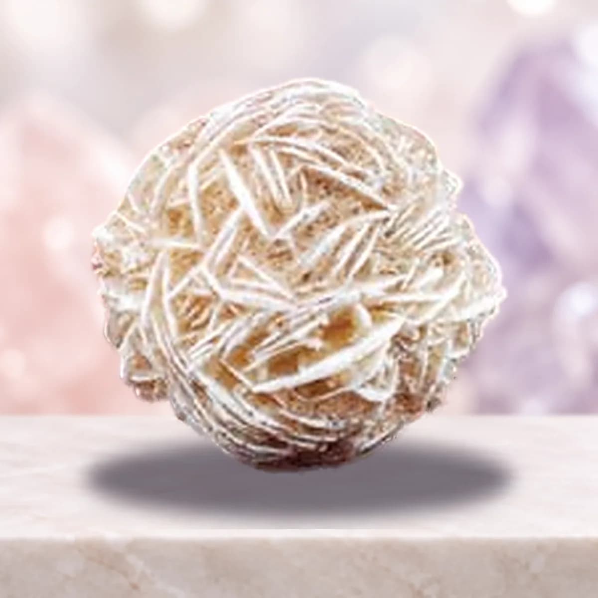Desert Rose Protection Set