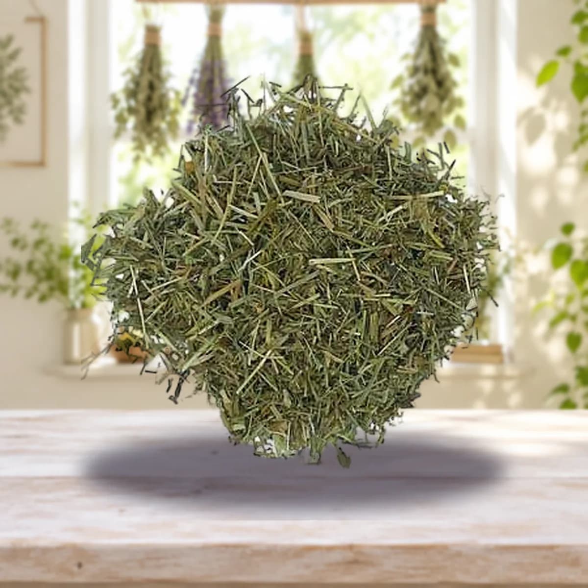 Shavegrass cut 1oz wild crafted