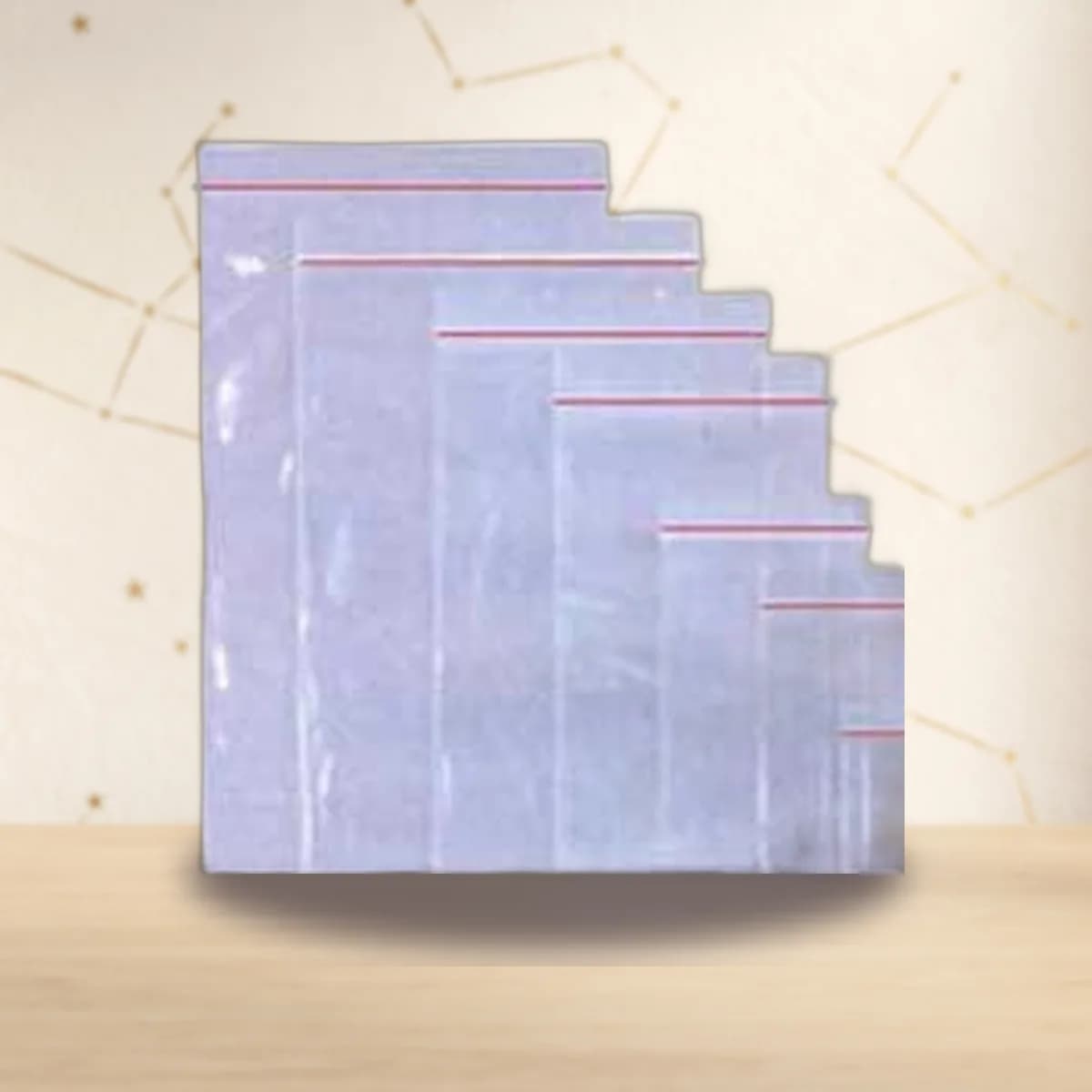 1,000 ReSealable Bags 6" x 9" 2mil