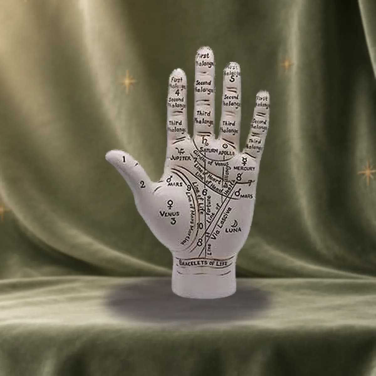9 1/2" Palmistry Hand
