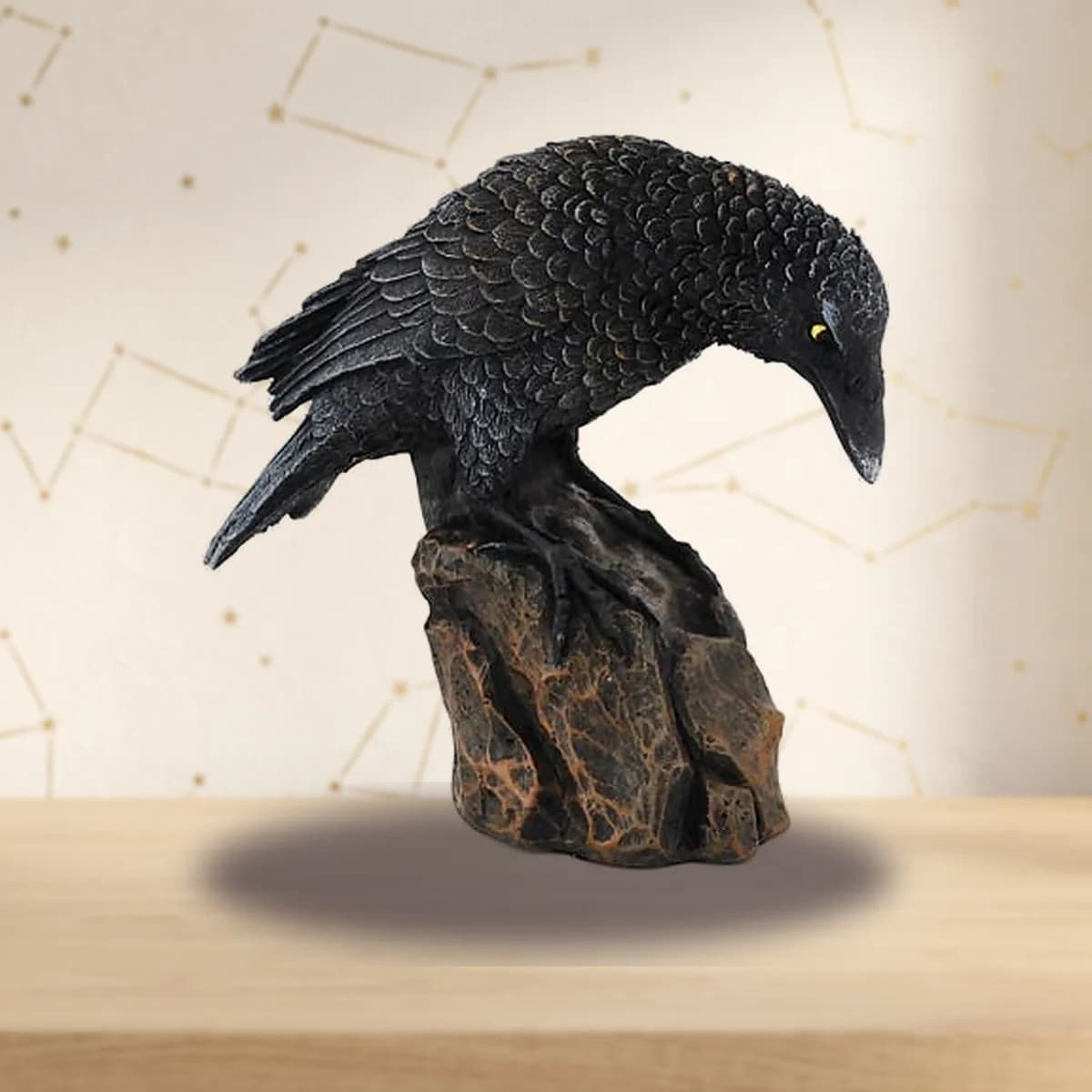 Downward Looking Raven 5 1/2"